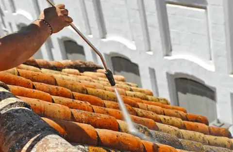 Nettoyage de toitures - Lallaing